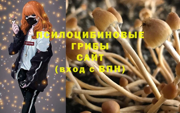 амф Усолье-Сибирское