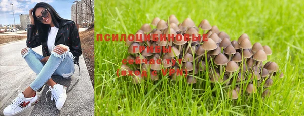 дурь Новодвинск