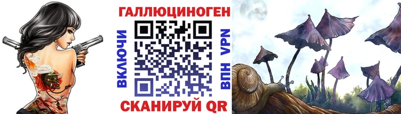 Галлюциногенные грибы Cubensis  Энгельс 