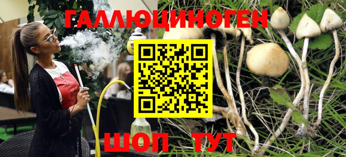 Энгельс  Псилоцибиновые грибы Magic Shrooms  Псилоцибиновые грибы мицелий  цена   Вход с VPN 