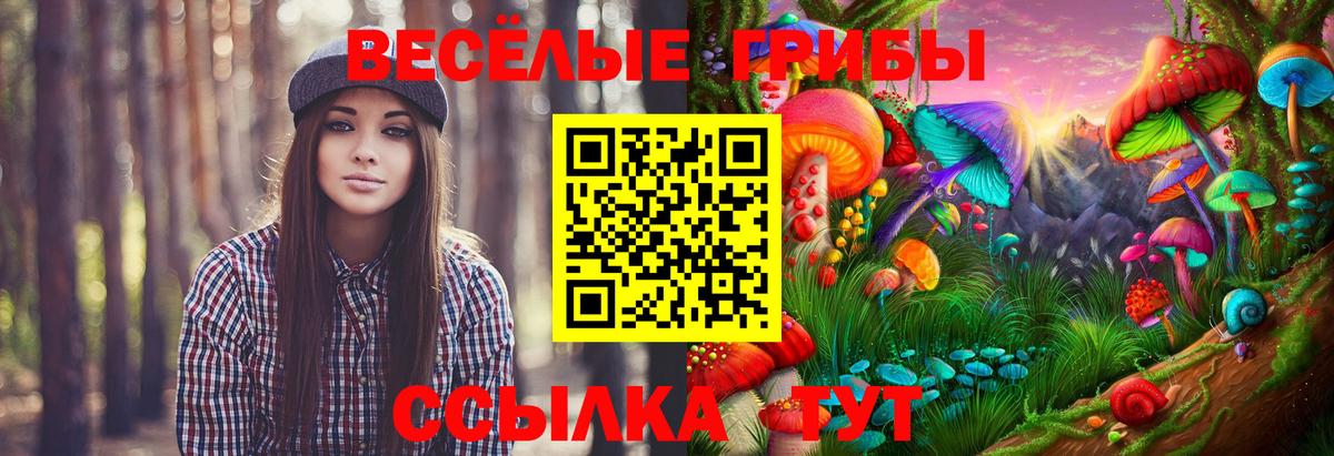 Метамфетамин  ГАШ  Энгельс  Вход с VPN  МЕФ   Конопля  COCAIN  ГАШ 